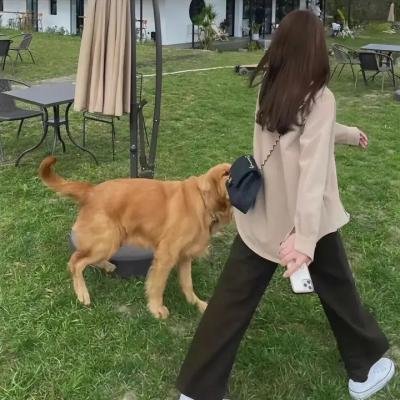 林投姐